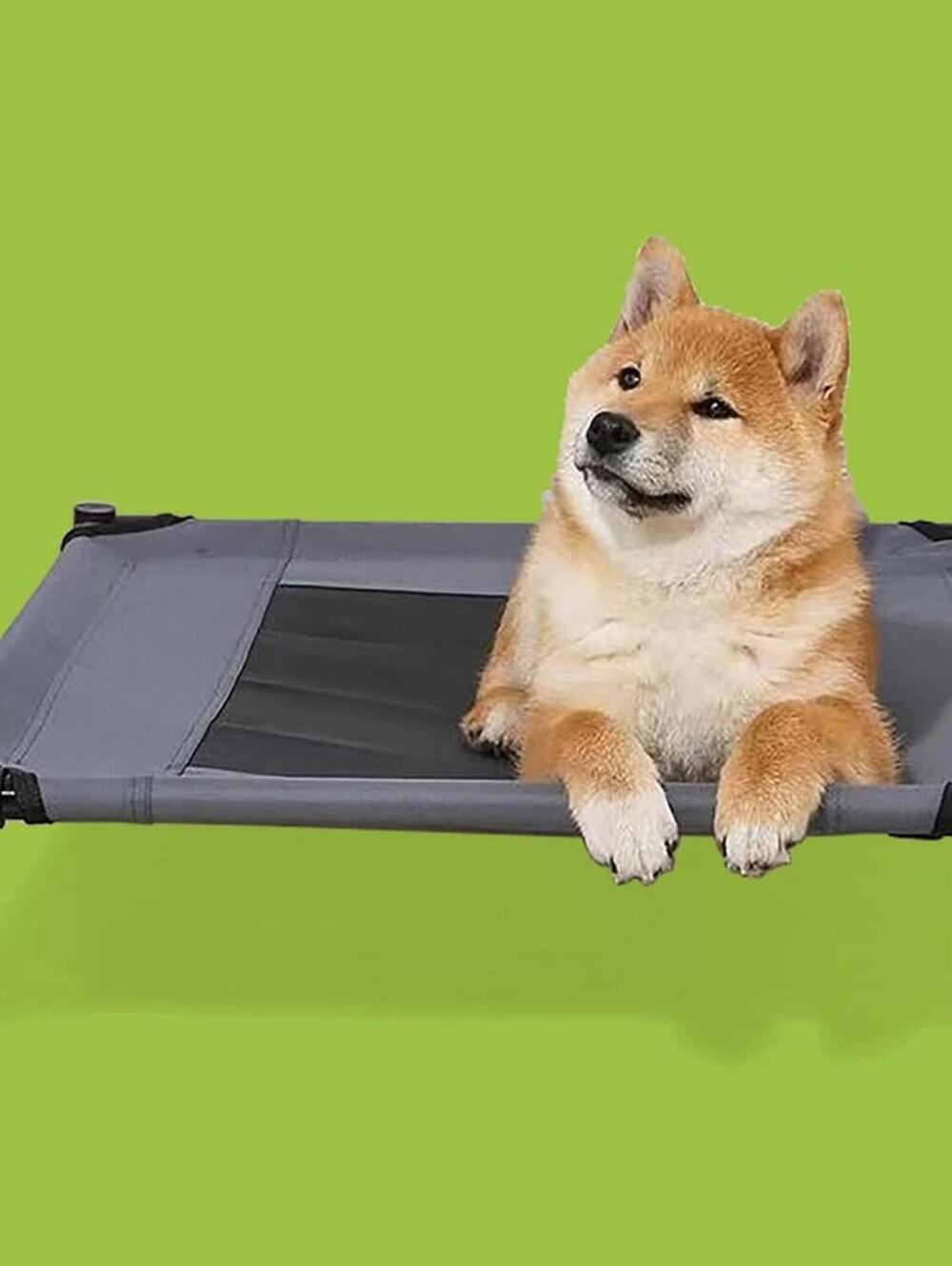 ELEVATED SMALL DOG BED